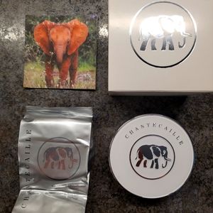 Chantecaille cushion foundation